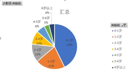 孕嬰產(chǎn)品數(shù)據(jù)分析中的數(shù)據(jù)清洗與處理關(guān)鍵技術(shù)