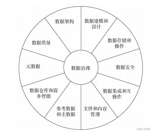 數(shù)據(jù)治理 構(gòu)建高效數(shù)據(jù)處理的核心藍(lán)圖